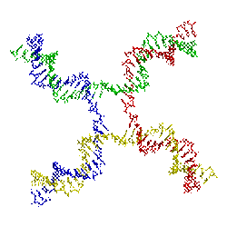 Holliday junction coloured.png